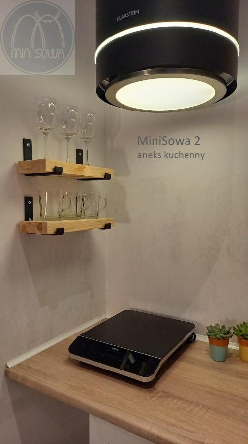 Minisowa Διαμέρισμα Jedlina-Zdroj Εξωτερικό φωτογραφία
